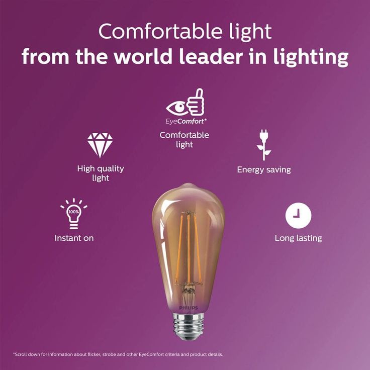 Philips 40-Watt Equivalent ST19 Dimmable Vintage Glass Edison LED Light Bulb Amber Warm White (2000K) (1-Bulb)