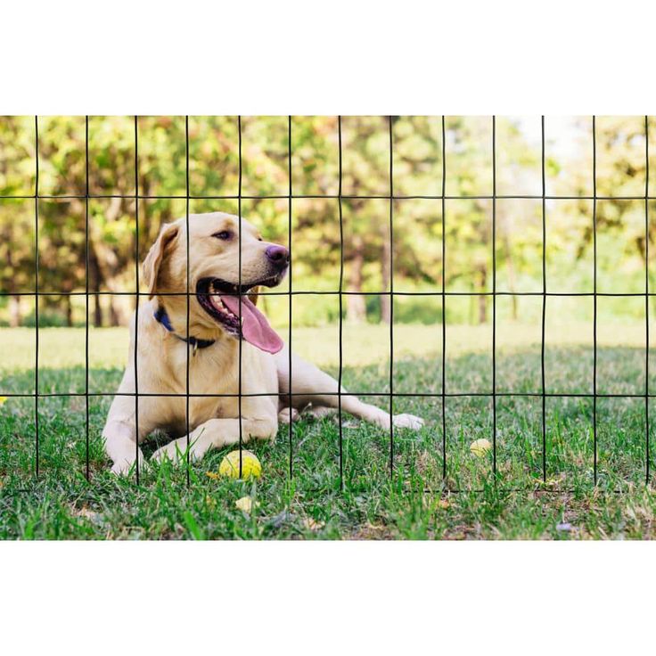 Everbilt 3 ft. x 50 ft. Galvanized Steel Black PVC Coated Welded Wire