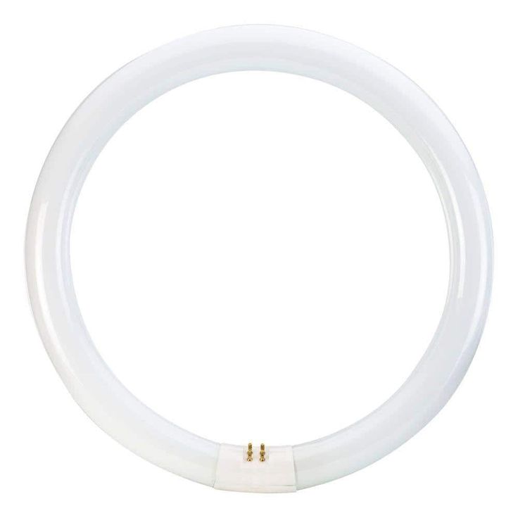 32-Watt 12 in. Linear T9 Fluorescent Tube Light Bulb Cool White (4100K) Circline