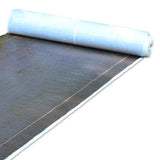 073590572158xl_410209394.jpg