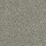 STAINMASTER PetProtect Mineral Bay I 12-ft Tidal Wave Textured Carpet Sample (Interior)