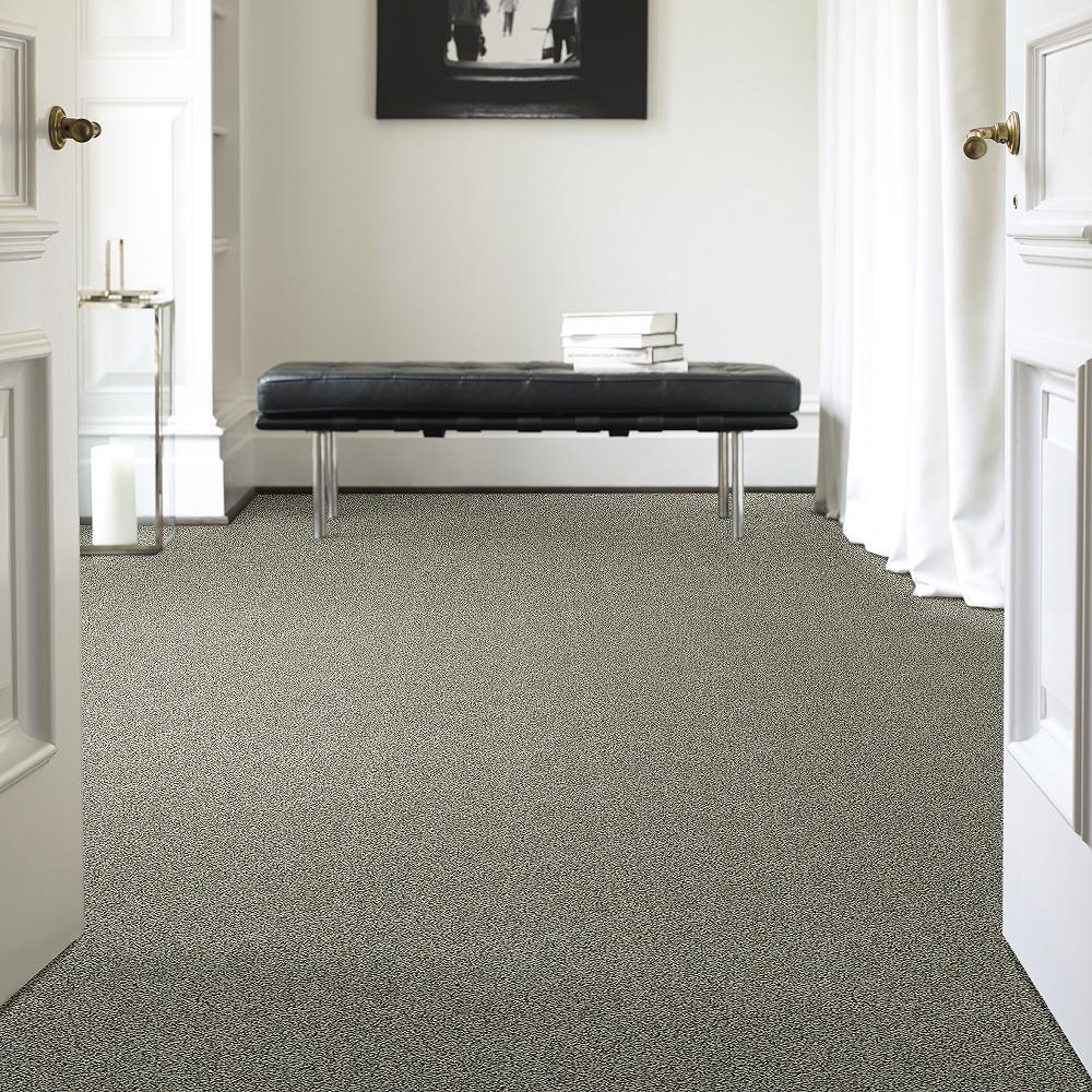 STAINMASTER PetProtect Mineral Bay I 12-ft Tidal Wave Textured Carpet Sample (Interior)