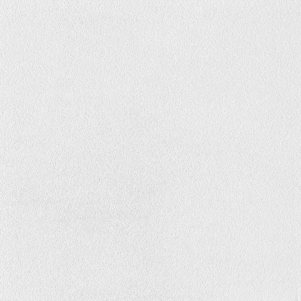 Armstrong Ceilings Oasis 24-in x 24-in White Smooth Drop Acoustic Ceiling Tiles, Tegular 15/16-in Grid, 16-Pack (64 sq ft)