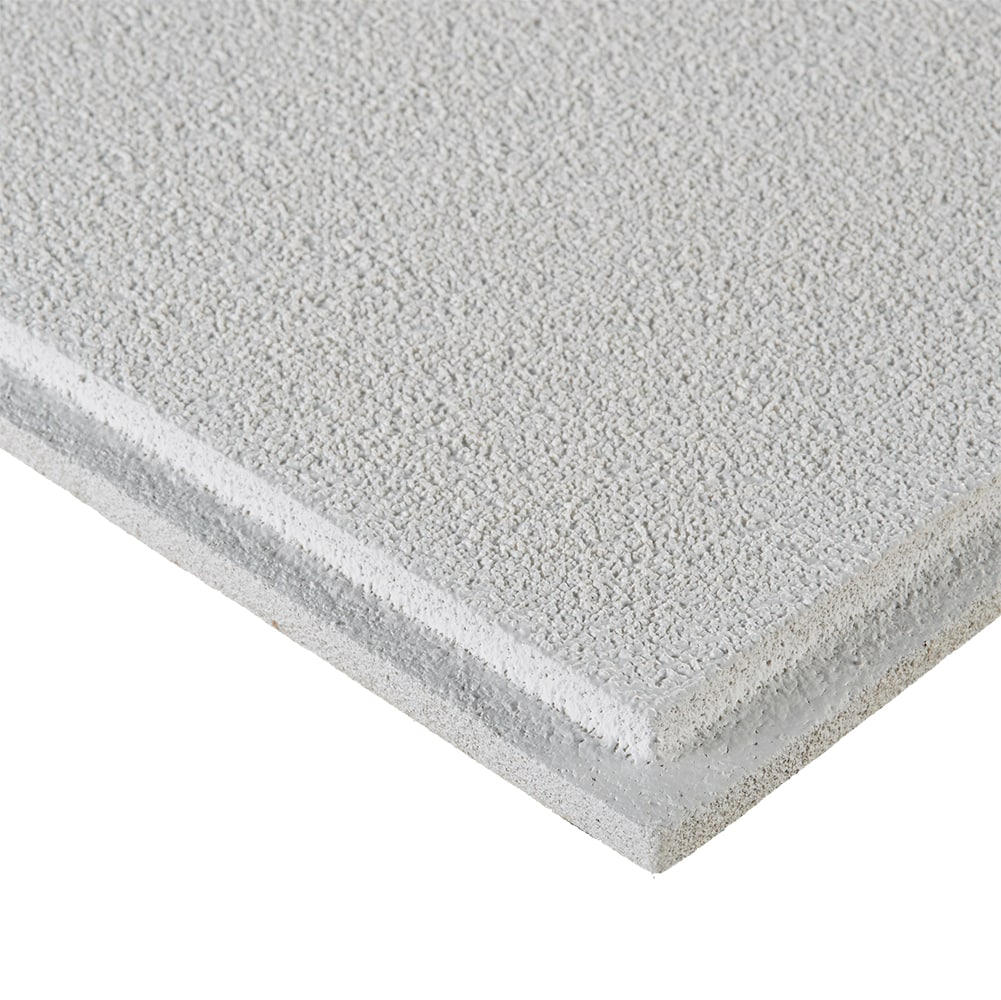 Armstrong Ceilings Oasis 24-in x 24-in White Smooth Drop Acoustic Ceiling Tiles, Tegular 15/16-in Grid, 16-Pack (64 sq ft)