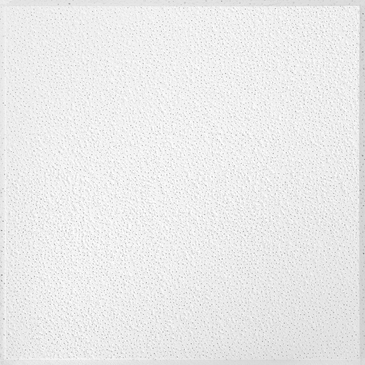 Armstrong Ceilings Brighton 24-in x 24-in Textured Drop Acoustic Ceiling Tiles, 16-Pack (15/16-in Tegular Edge)