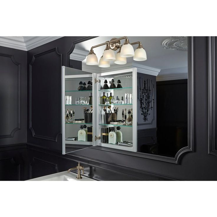 Verdera 20 in. W x 30 in. H Recessed Medicine Cabinet in Anodized Aluminum