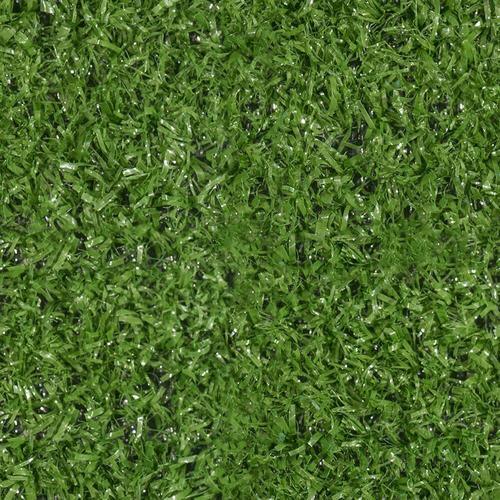 Leisure Time 12-ft Plush Interior/Exterior Carpet - Super Arbor