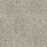 080321113580xl_516449363.jpg