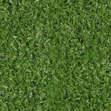 080321118578xl_183336585.jpg