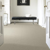 STAINMASTER PetProtect Baxter III Marmaduke Textured Indoor Carpet - 12-ft Roll Width