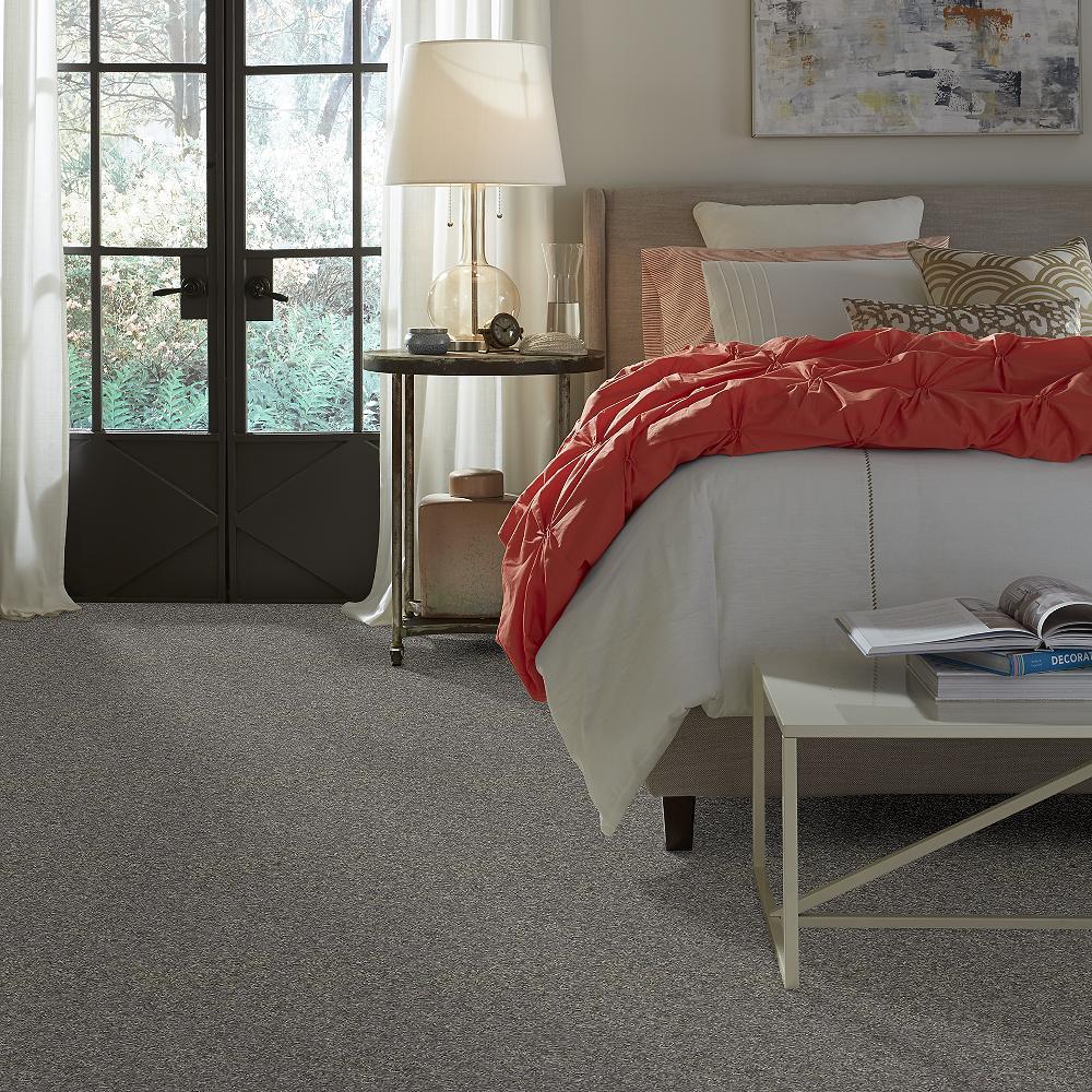 STAINMASTER PetProtect Baxter II Schnauzer Textured Carpet (Indoor) - 12-ft Width