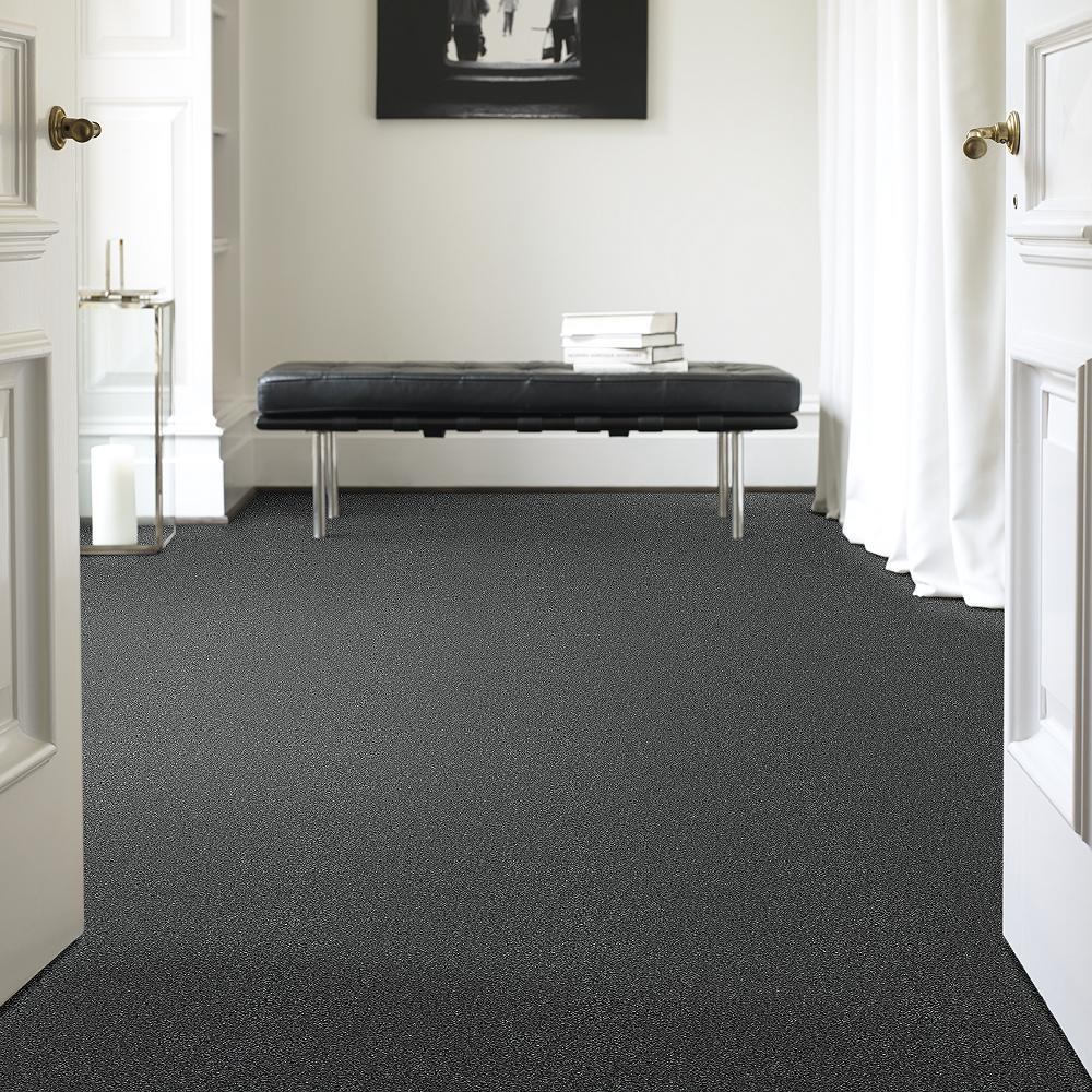 STAINMASTER PetProtect Baxter II Roll Over Textured Carpet (Indoor)