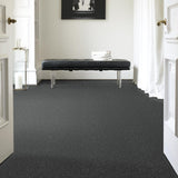 STAINMASTER PetProtect Baxter II Roll Over Textured Carpet (Indoor)