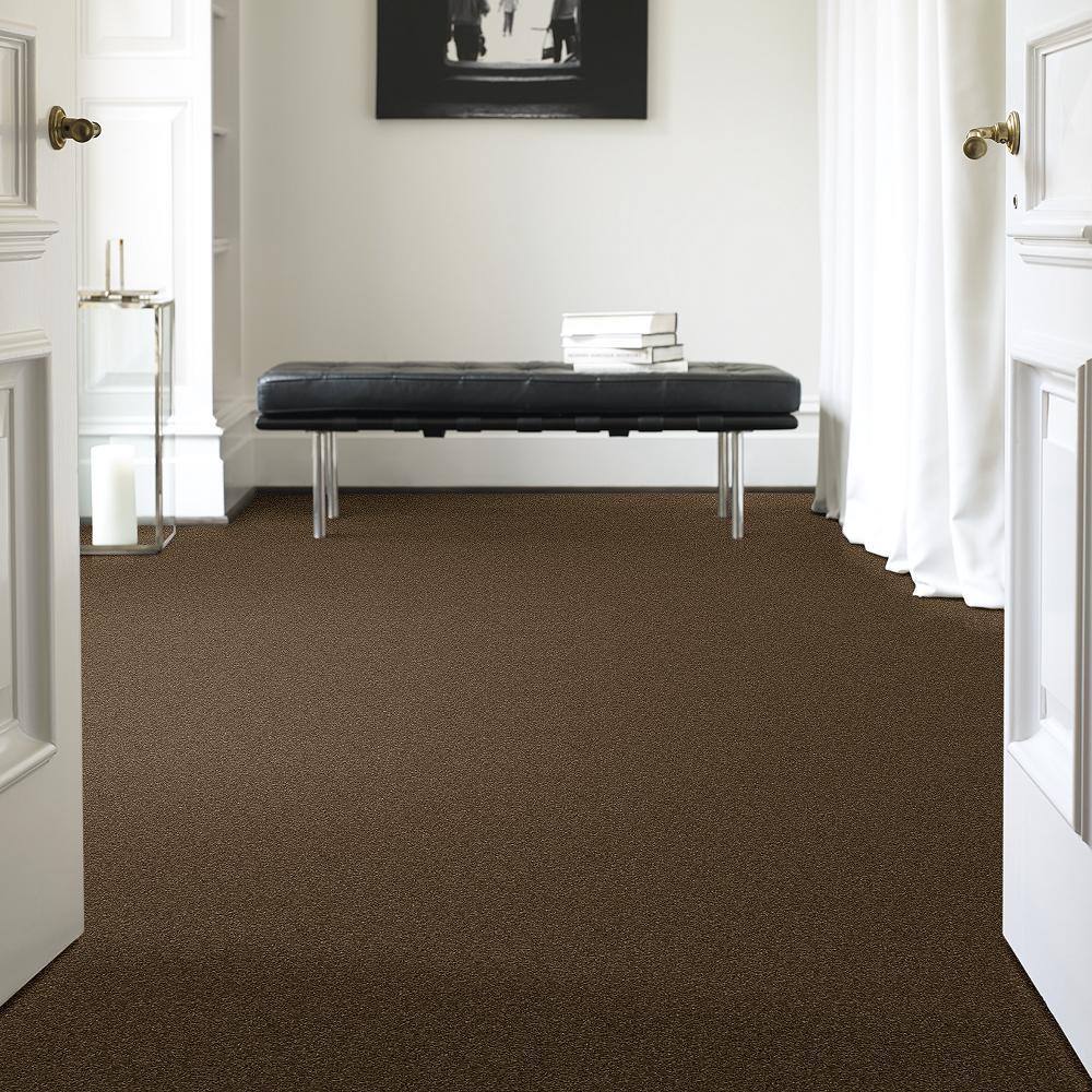 STAINMASTER PetProtect Baxter II Labrador Textured Carpet (Indoor) - 12-ft Roll Width