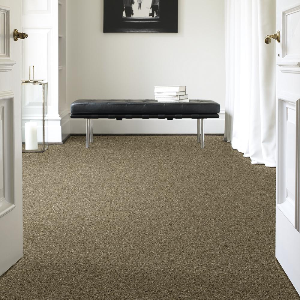 STAINMASTER PetProtect Baxter IV Dachshund Textured Carpet (Indoor, 12-ft Roll Width)