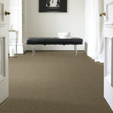 STAINMASTER PetProtect Baxter IV Dachshund Textured Carpet (Indoor, 12-ft Roll Width)
