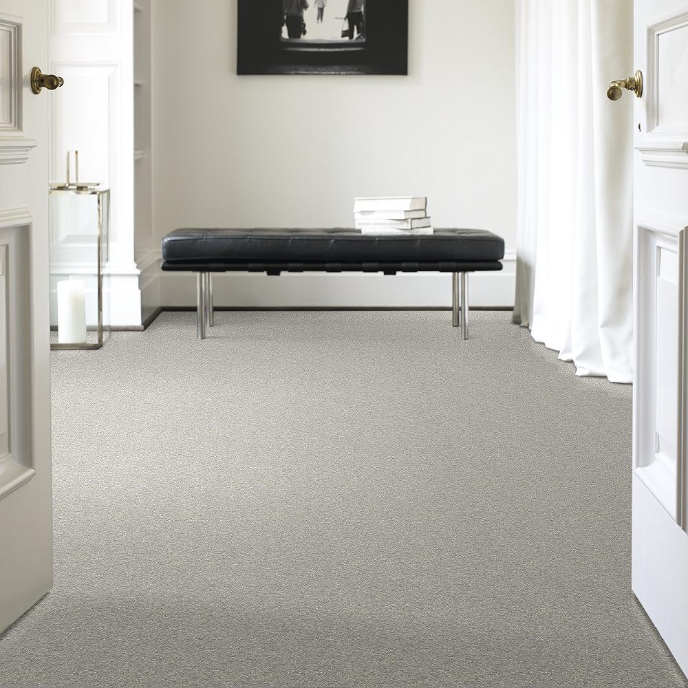 STAINMASTER PetProtect Baxter I Gizmo Textured Indoor Carpet, 12-ft Roll Width