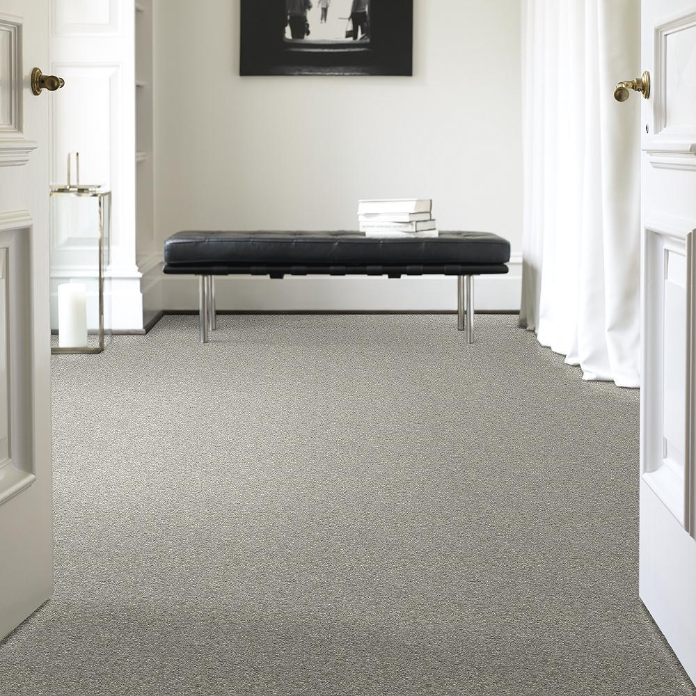 STAINMASTER PetProtect Baxter I Trixie Textured Carpet (Indoor), 12-ft Roll Width