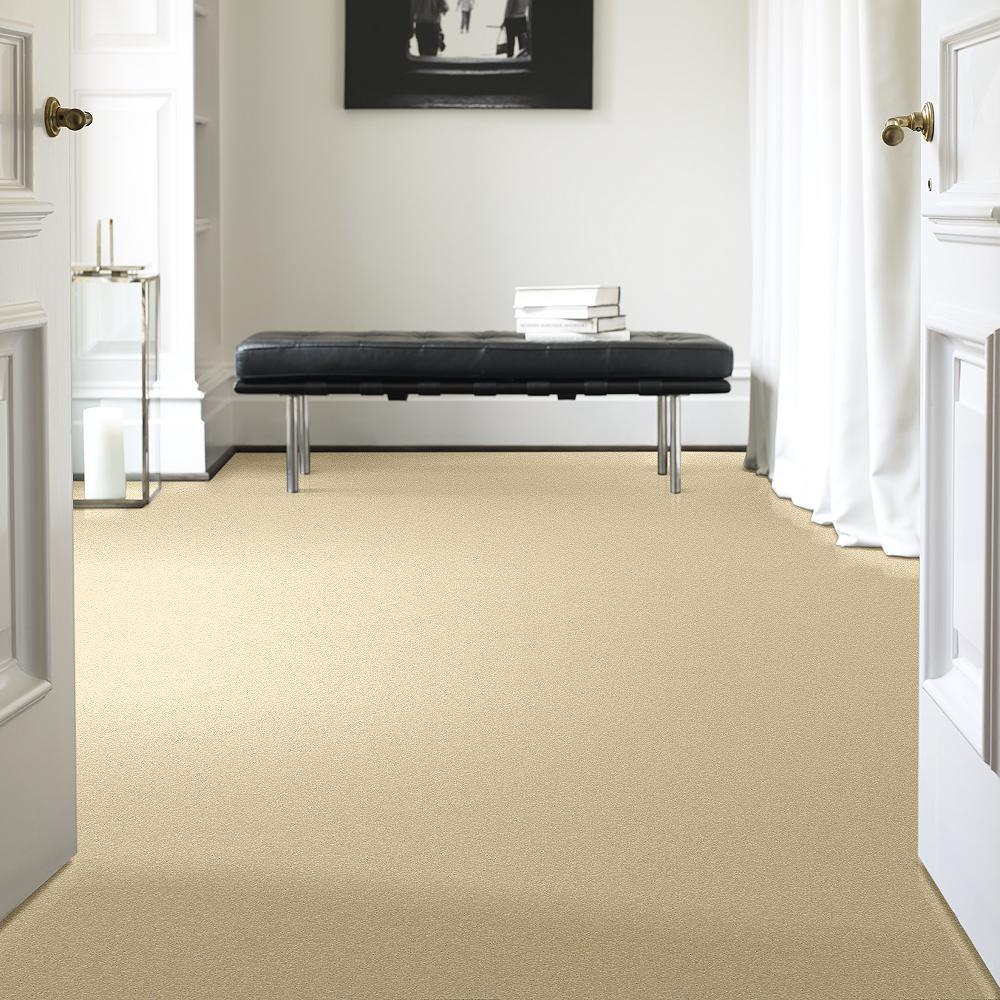 STAINMASTER PetProtect Baxter I Spaniel Textured Indoor Carpet, 12-ft Width