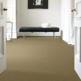 STAINMASTER PetProtect Baxter I Molly Textured Carpet (Indoor, 12-ft Roll Width)