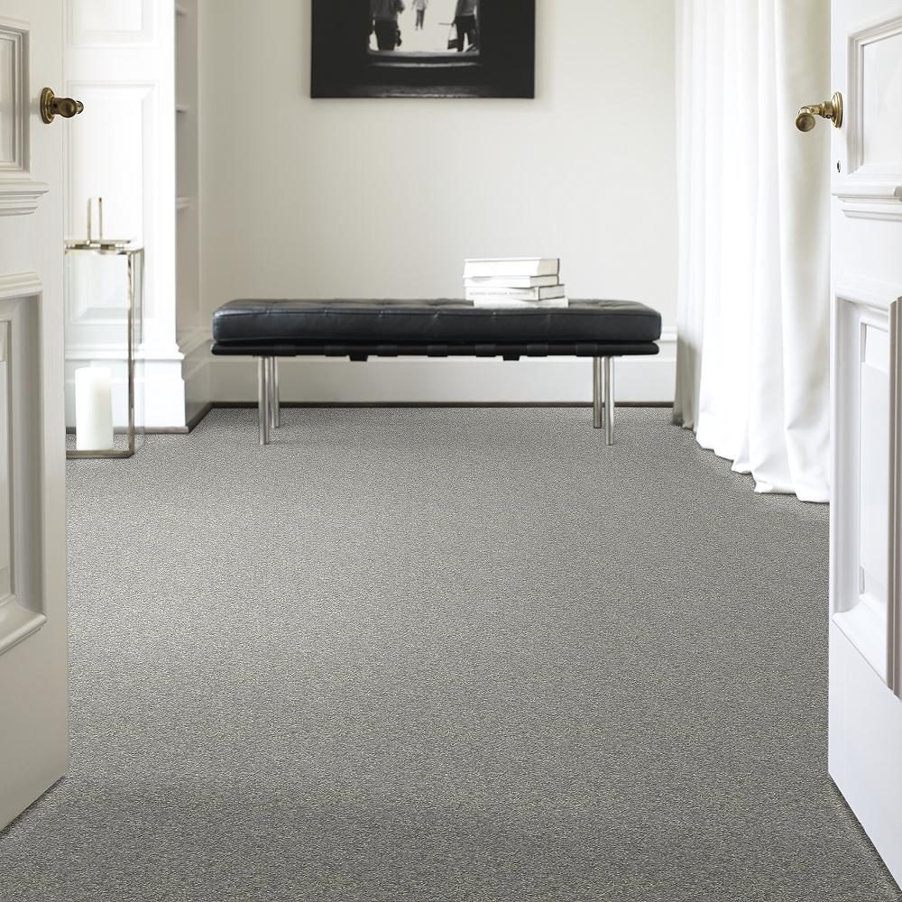 STAINMASTER PetProtect Baxter I Roscoe Textured Indoor Carpet, 12-ft Wide
