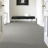 STAINMASTER PetProtect Baxter I Roscoe Textured Indoor Carpet, 12-ft Wide
