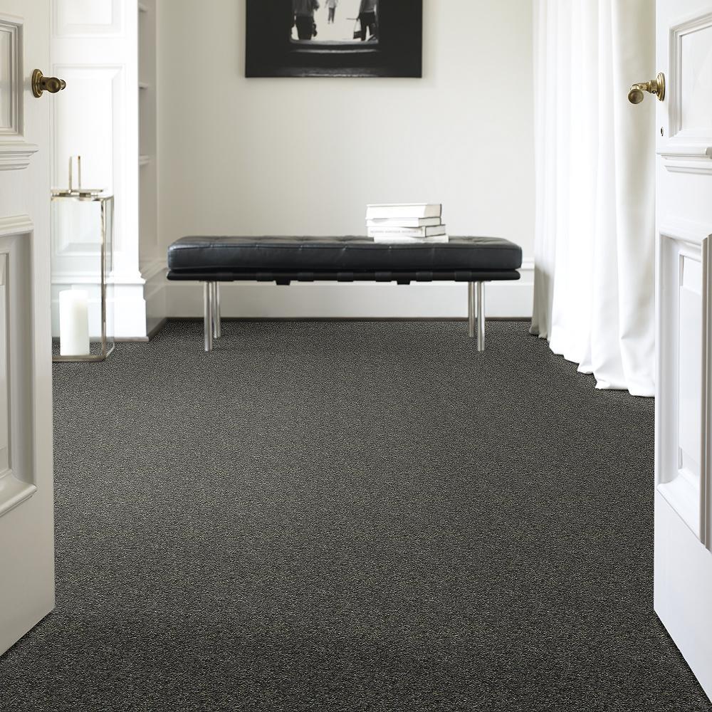 STAINMASTER PetProtect Baxter I Charlie Textured Carpet (Indoor)