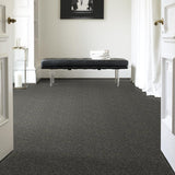 STAINMASTER PetProtect Baxter I Charlie Textured Carpet (Indoor)