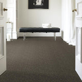 STAINMASTER PetProtect Baxter I Doberman Textured Carpet (Indoor) - 12-ft Roll Width