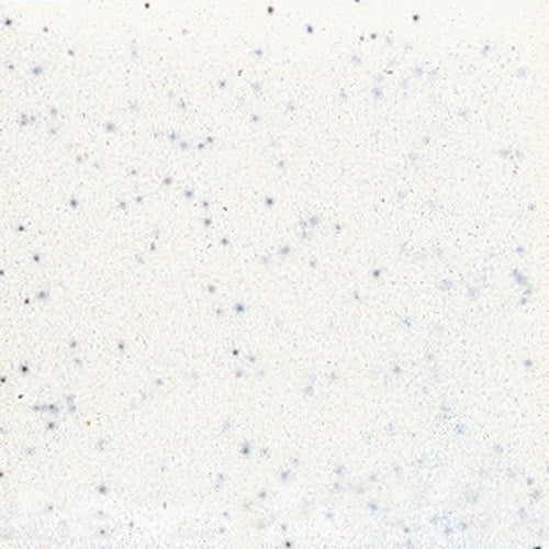 American Olean Bright Biscuit Gloss 4.25-in x 4.25-in Glossy Ceramic Wall Tile, 100-Pack