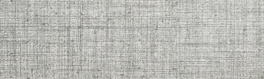 Emser CANVAS Tweed Porcelain Bullnose Tile, 3-in x 12-in (Actual 2.83-in x 11.73-in)