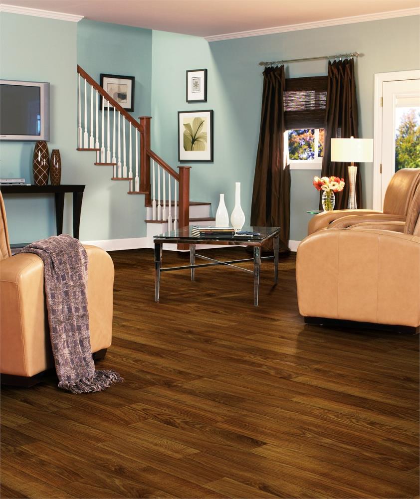 Armstrong Flooring Pickwick Landing I Dark Brown Sheet Vinyl (Cut-to-Length) Sample