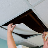 Genesis 2-ft x 2-ft Icon Coffer White PVC Drop Ceiling Tile (1-Pack, 4-sq ft / Case)