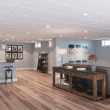 Genesis 2-ft x 2-ft Stucco Pro Revealed Edge White PVC Drop Ceiling Tile (1-Pack, 4-sq ft / Case)