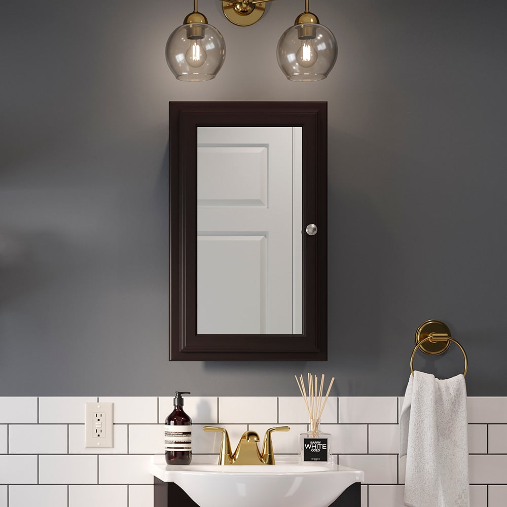 Style Selections 15.75-in x 25.75-in Surface/Recessed Mount Java Mirrored Medicine Cabinet