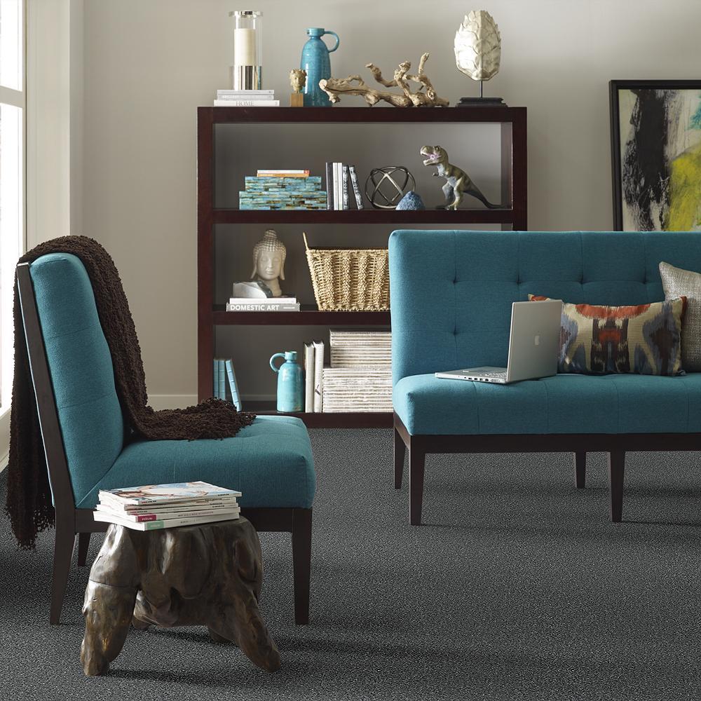 STAINMASTER PetProtect Baxter II Roll Over Textured Carpet (Indoor)