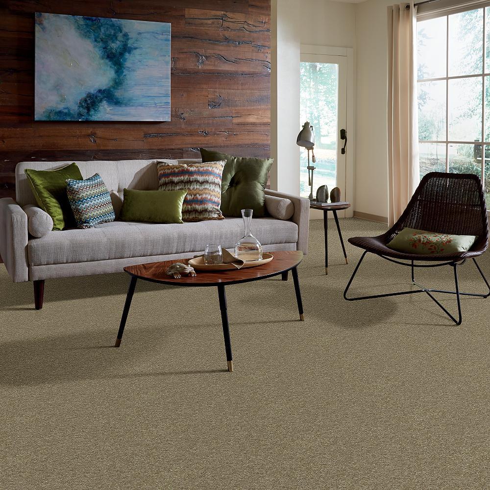 STAINMASTER PetProtect Baxter IV Dachshund Textured Carpet (Indoor, 12-ft Roll Width)