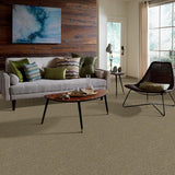 STAINMASTER PetProtect Baxter IV Dachshund Textured Carpet (Indoor, 12-ft Roll Width)