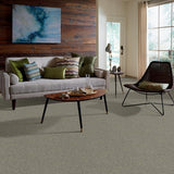 STAINMASTER PetProtect Baxter I Bentley Textured Carpet (Indoor) — 12-ft Roll Width