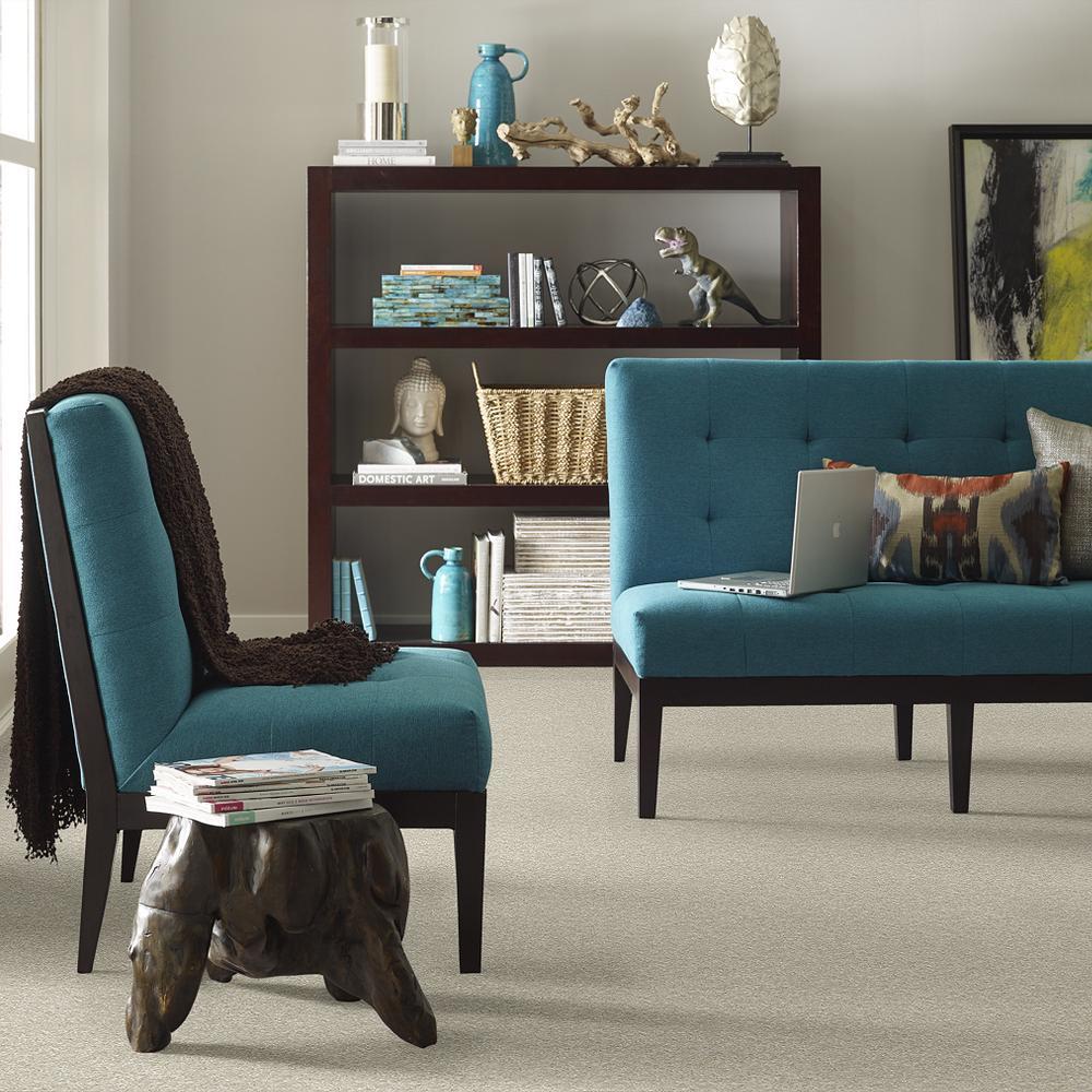 STAINMASTER PetProtect Baxter III Marmaduke Textured Indoor Carpet - 12-ft Roll Width