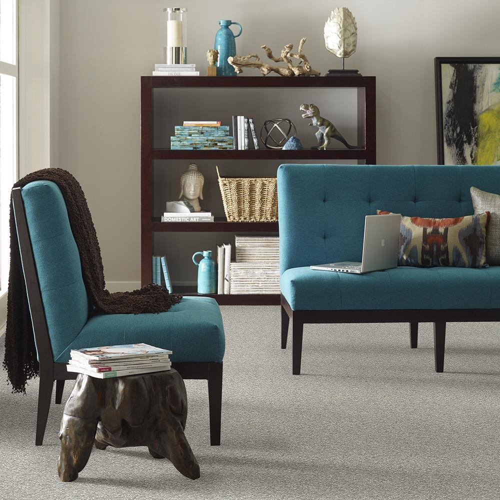 STAINMASTER PetProtect Baxter I Trixie Textured Carpet (Indoor), 12-ft Roll Width