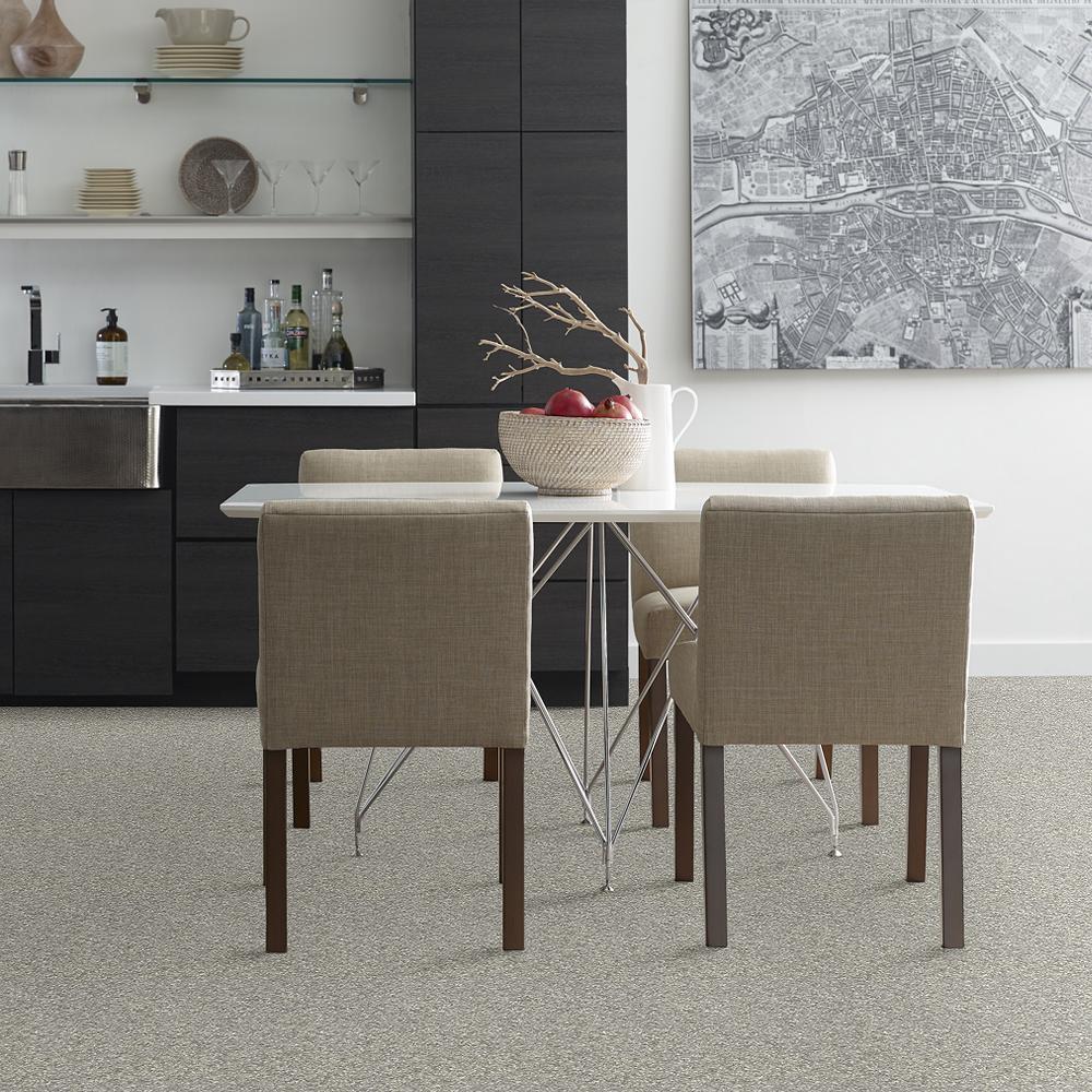 STAINMASTER PetProtect Baxter I Trixie Textured Carpet (Indoor), 12-ft Roll Width