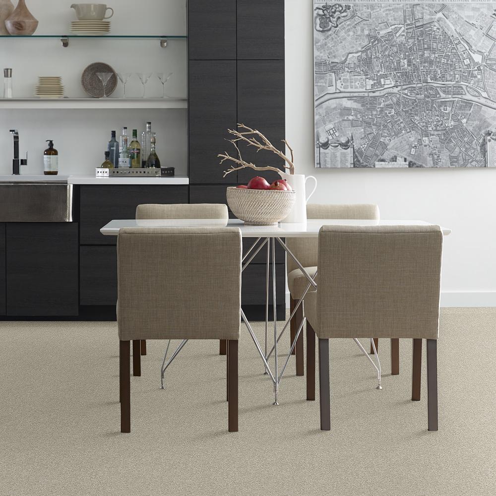 STAINMASTER PetProtect Baxter III Harley Textured Indoor Carpet, 12-ft Roll Width