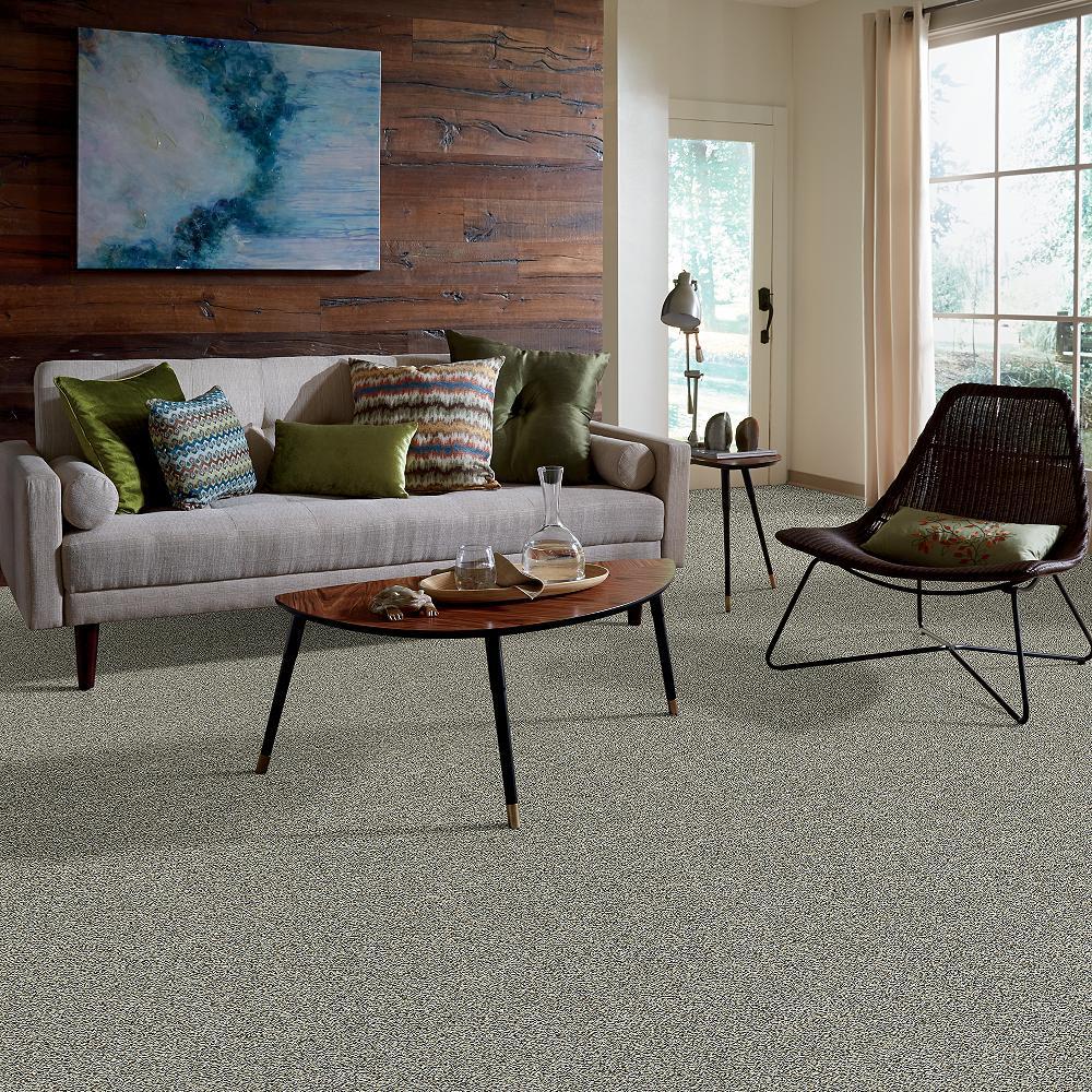 STAINMASTER PetProtect Mineral Bay I 12-ft Tidal Wave Textured Carpet Sample (Interior)