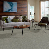 STAINMASTER PetProtect Mineral Bay I 12-ft Tidal Wave Textured Carpet Sample (Interior)