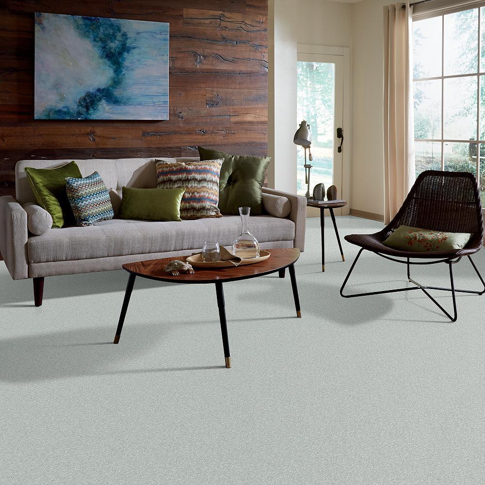 STAINMASTER PetProtect Baxter I Retriever Textured Indoor Carpet, 12-ft Roll Width