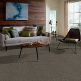 STAINMASTER PetProtect Baxter I Doberman Textured Carpet (Indoor) - 12-ft Roll Width