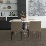 STAINMASTER PetProtect Baxter I Doberman Textured Carpet (Indoor) - 12-ft Roll Width
