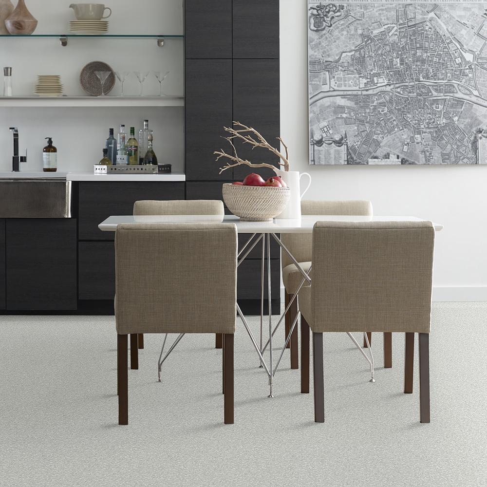 STAINMASTER PetProtect Baxter I Mac Textured Carpet (Indoor) — 12-ft Roll Width