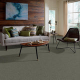 STAINMASTER PetProtect Baxter I Winston Textured Carpet (Indoor) - 12-ft Roll Width